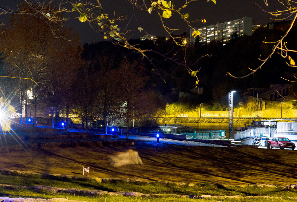 20141122-DSC-2513.jpg